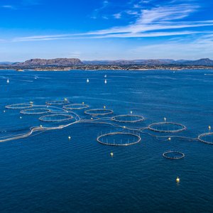 Offshore Fish Farm