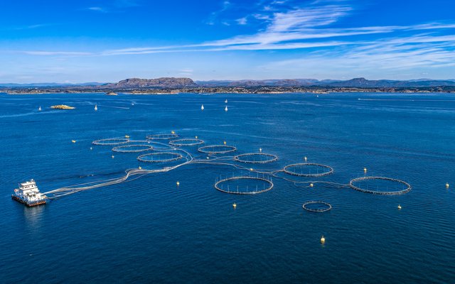 Offshore Fish Farm