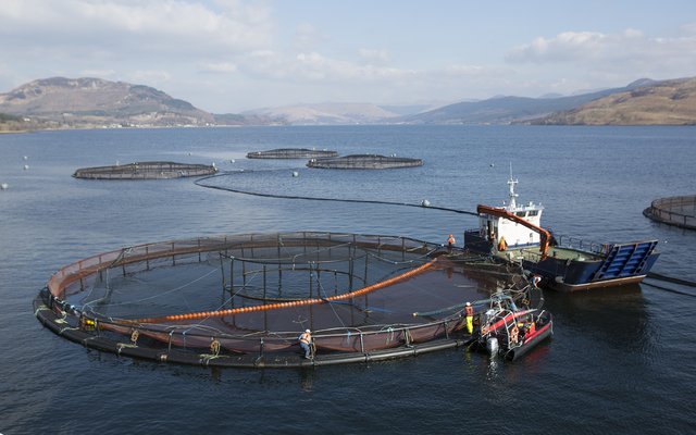 Salmon farm 1(1)