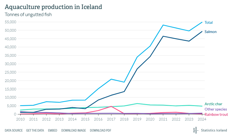 Screenshot 2025-04-08 at 18-24-15 Aquaculture in 2024 - Statistics Iceland