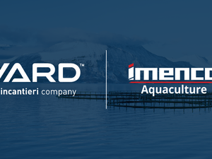 Vard_Imenco_Header