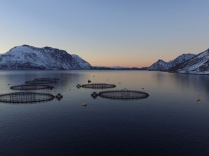 Investments freeze in Norway following government tax proposal