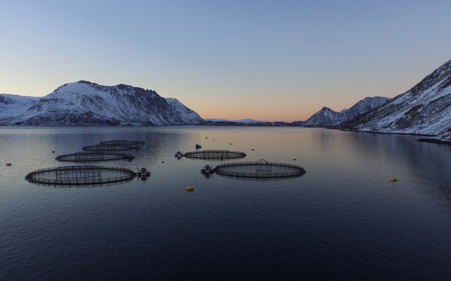 Investments freeze in Norway following government tax proposal