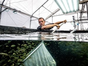 $14 million to strengthen US aquaculture