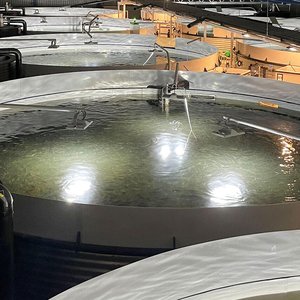 AKVA signs new contracts to build large RAS facilities in Northern Europe