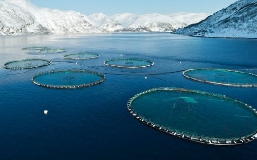 Norway proposes 40% resource tax on aquaculture operations