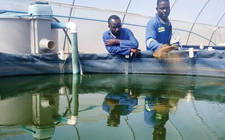 medium_20221109Zimbabwe_story