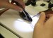 otolith dissection