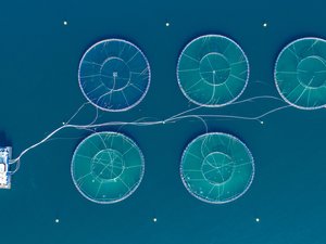 shutterstock_703043050