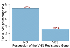 viral necrosis robert mukiibi graph_1