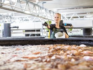 woman-fish-farm-1