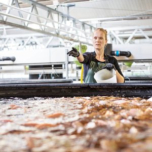 woman-fish-farm-1