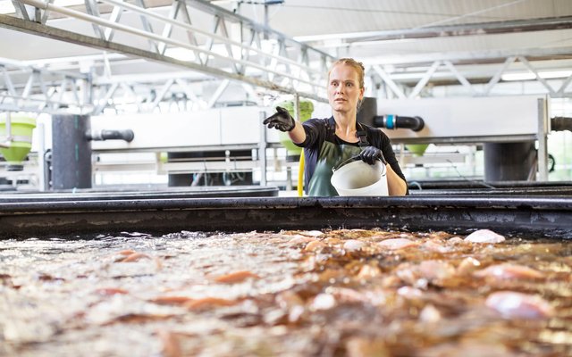 woman-fish-farm-1